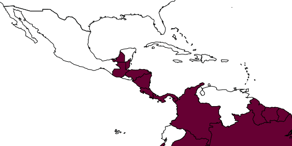 map of Azteca instabilis     Smith, 1862